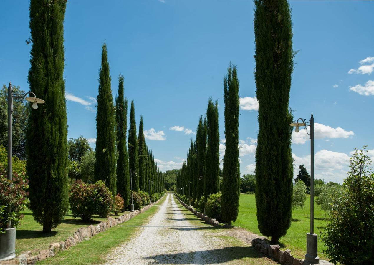 Casa Viale Dei Cipressi Villa Sovicille Eksteriør billede